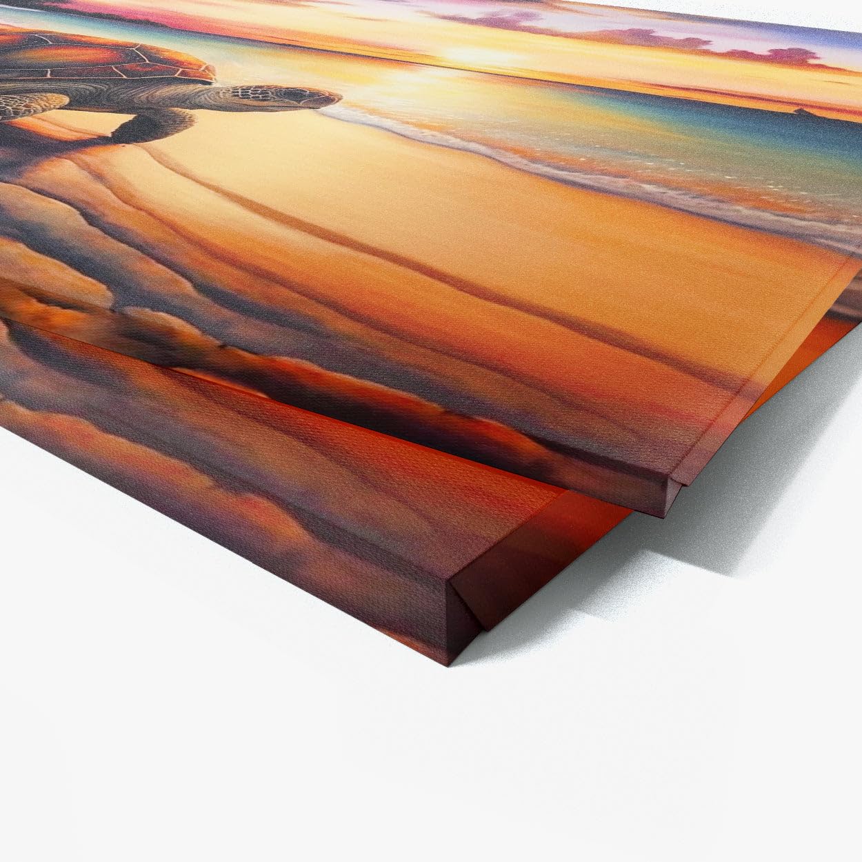 Amazon.com: Sense Canvas Turtle Atmospheric Sunset 8 Canvas Art