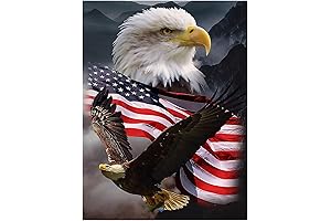KTHOFCY 5D DIY Diamond Painting Kits for Adults Eagle and Flag