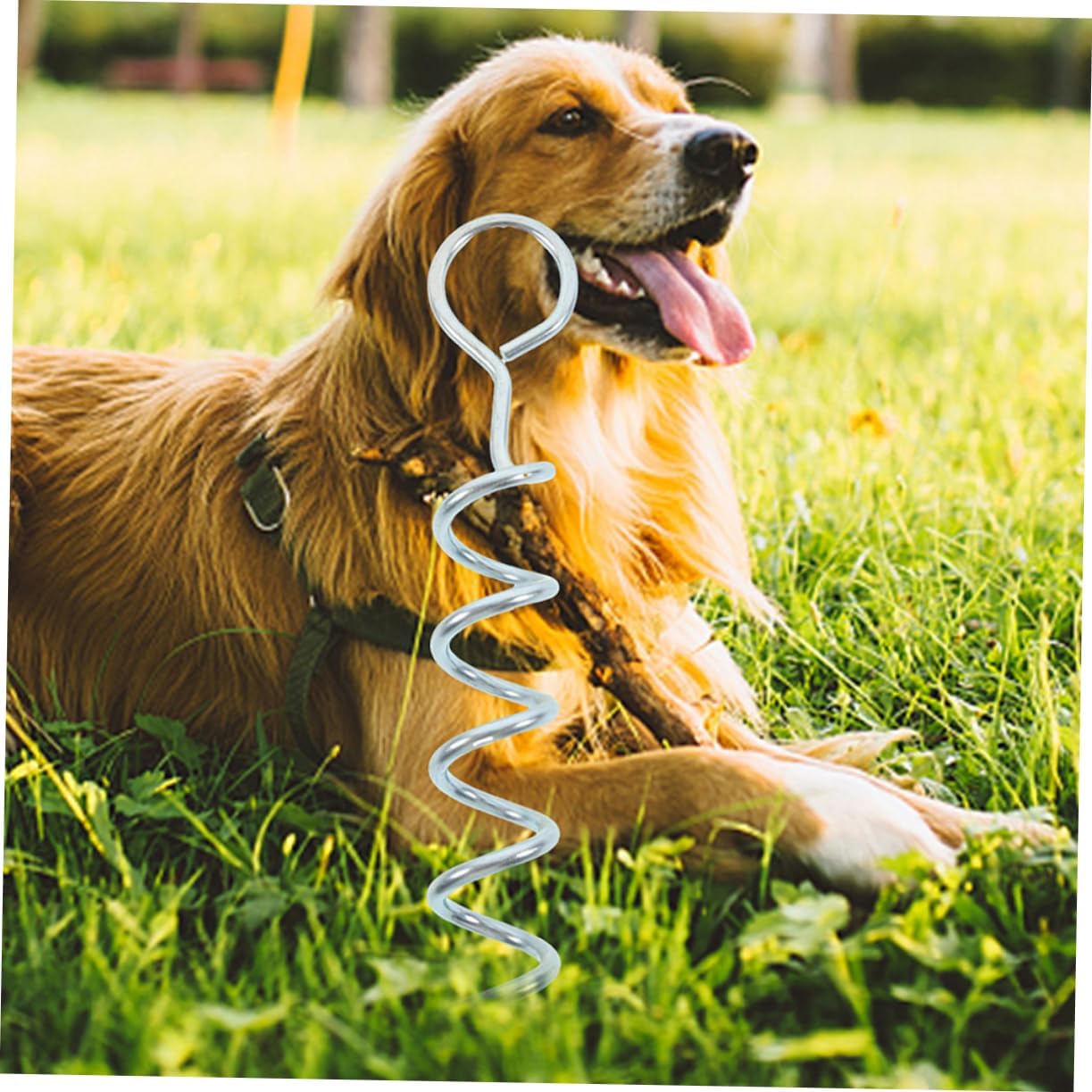 6pcs Heavy Duty Spiral Dog Tie Out Stake Sturdy Ground Anchor for Dogs Portable Lawn Stake Stable Performance for Outdoor Use Grass