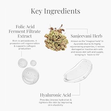Forest Essentials Travel Size Advanced Sanjeevani Beauty Elixir 15g (Anti-Aging Day Cream)