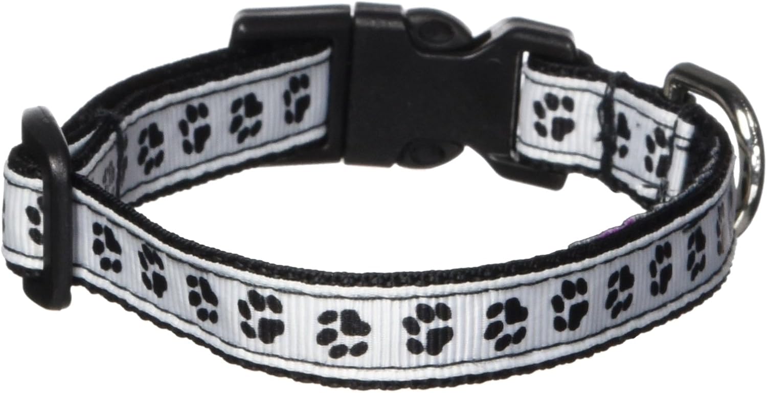black collar dog