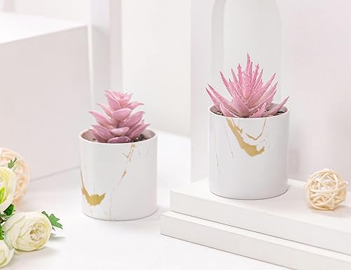 Miniatura 6 de Der Rose Paquete de 2 plantas suculentas y suculentas falsas para habitación, hogar, baño, dormitorio, oficina, decoración bohemia