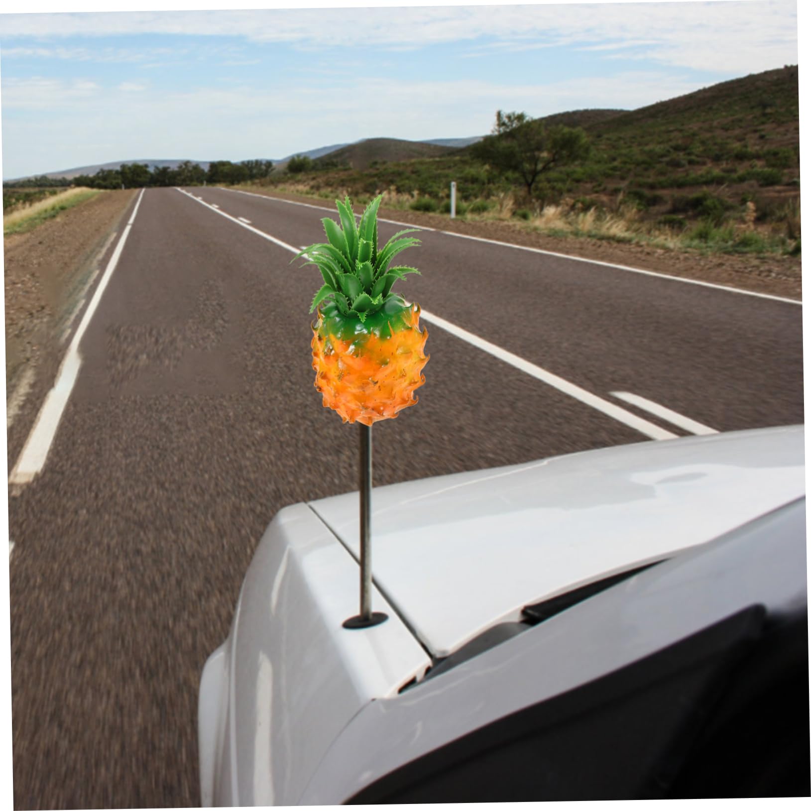 SOLUSTRE 5 Pezzi Di Copertura Per Antenna Auto Unica Con Design A Ananas Decorazione Esterna Per Auto