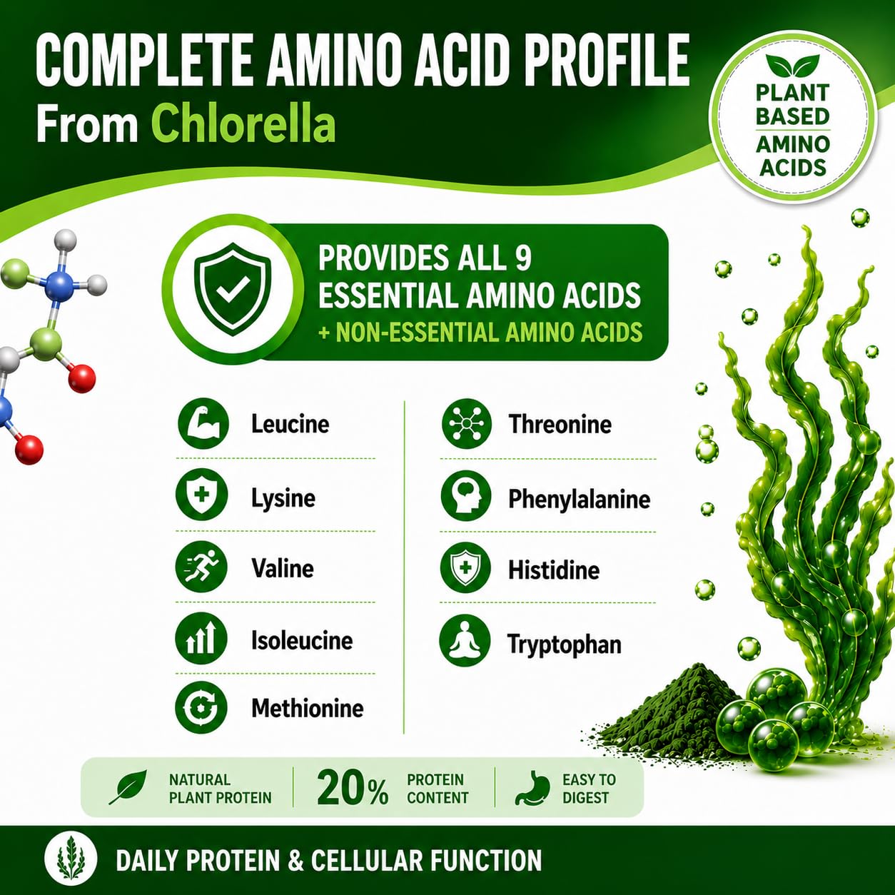 Chlorella Capsules 3000 mg - Cracked Cell Wall Blue Green Algae Supplement - Best Natural Detox Cleanse - Plant Vitamins Minerals Chlorophyll Vegan Protein Powder Pills - Made in USA — Amazon image 8
