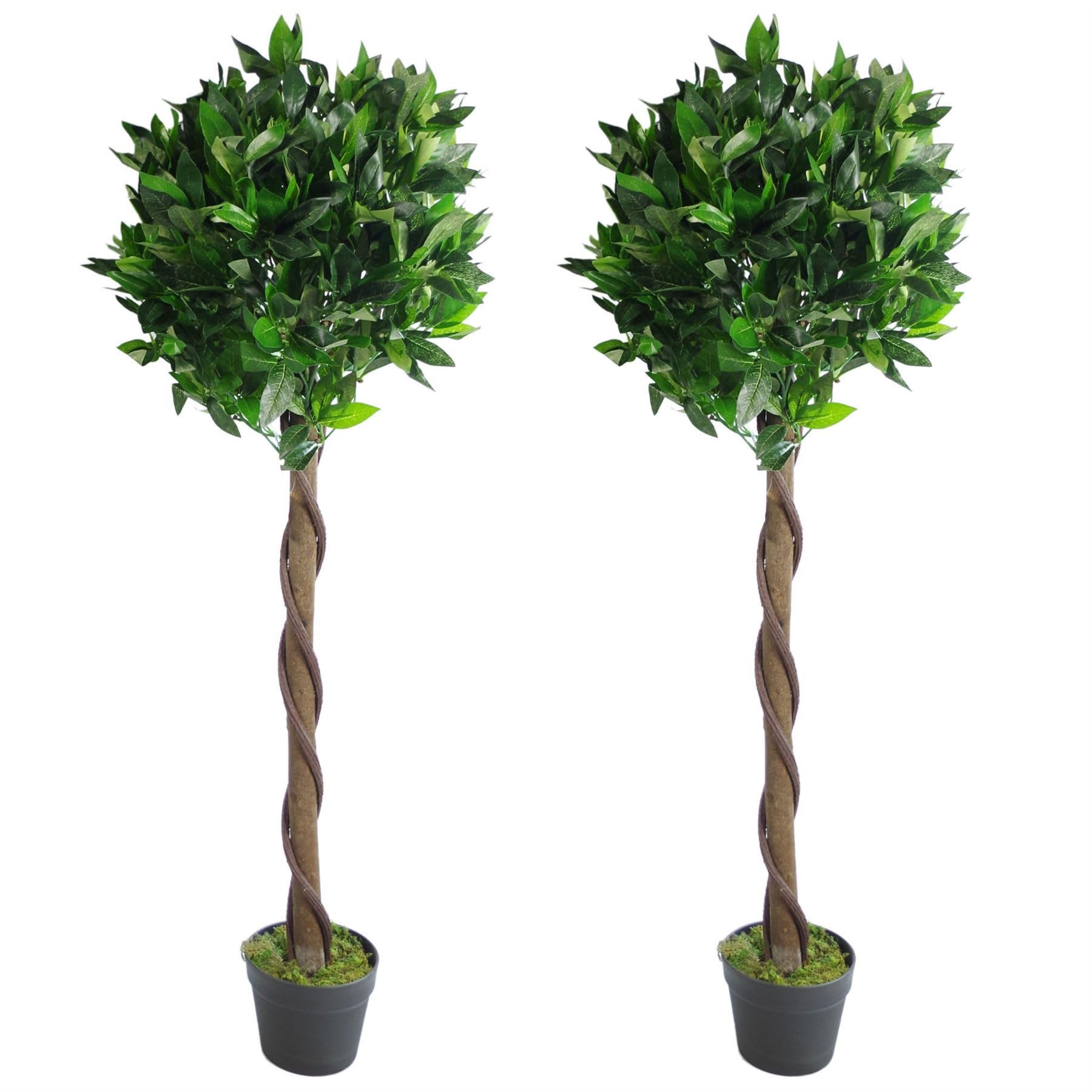 Leaf Artificial Bay Laurel Ball Tree - Twisted Stem - 120cm - 2 Pack