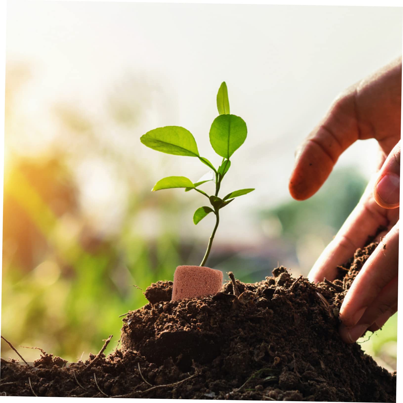500stücke Soilless Cultivation Nutrient Blocks Torffreie Pflanzsubstrate Für Gemüse Und Blumen Für Anzucht Und Balkon Hochwertige Nährstoffreiche Blumenerde Ohne Erde
