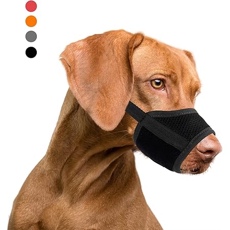 what is a muzzle for