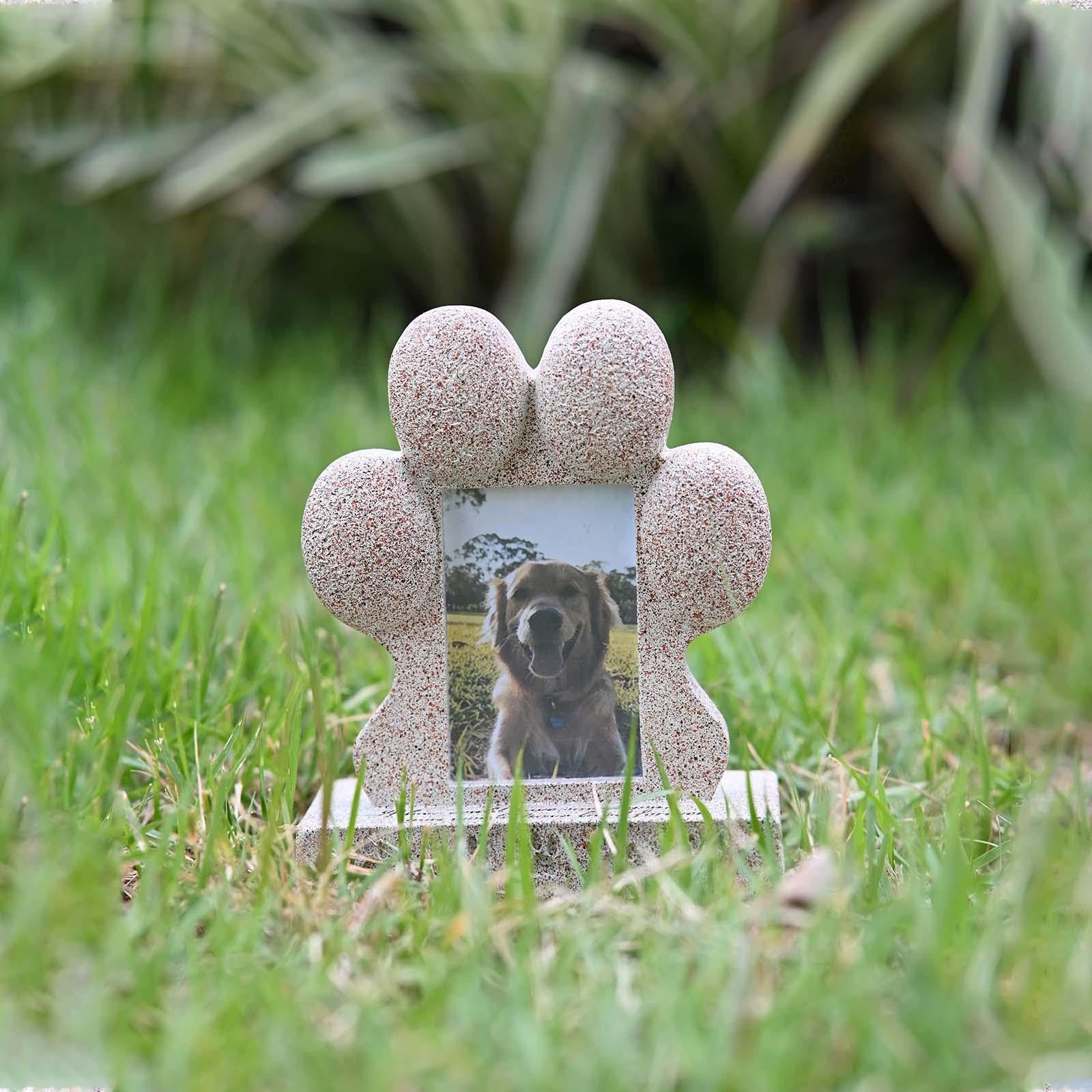 Cornice Commemorativa per Cani con Portachiavi con Peli di Cane, Regalo per Chi Ha Perso Un Cane Ricordo per Cani E Gatti