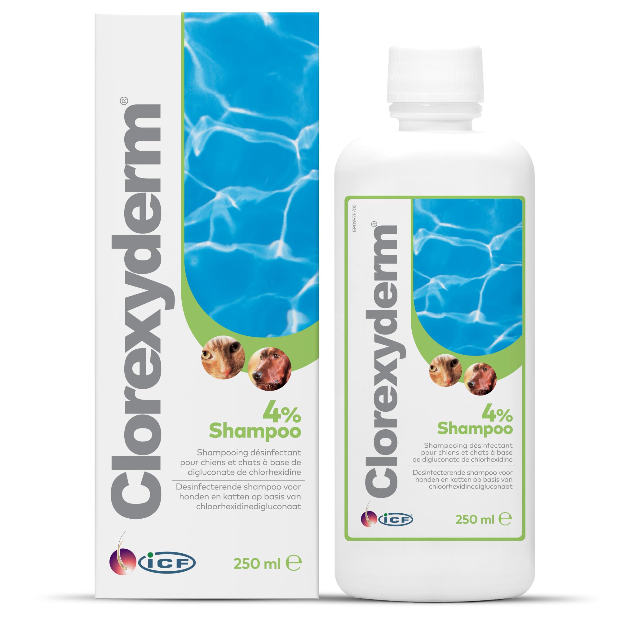 ICF | Clorexyderm 4% Shampoing Chien | Shampooing Chien Antiseptique, Hydratant et Anti Odeur pour Chien et Chat | Assainit, Hydrate et Protège la Peau | 250ml