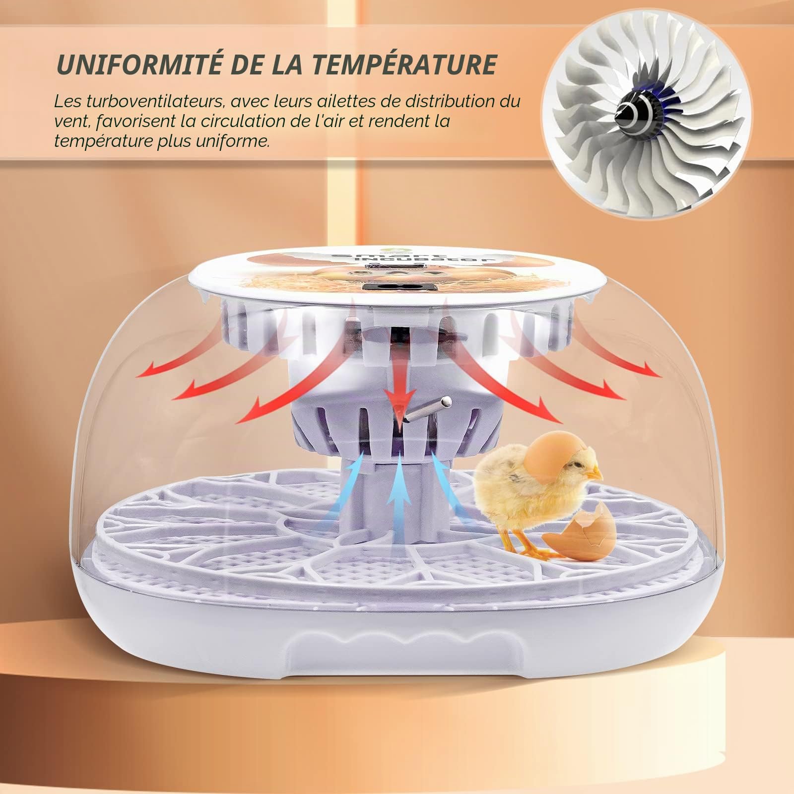 Incubateur 12-35 œufs Capacités Couveuse Numérique Entièrement Automatique Machine à couvoir Rotation Automatique Incubateur à eau Automatique Couverture Visible