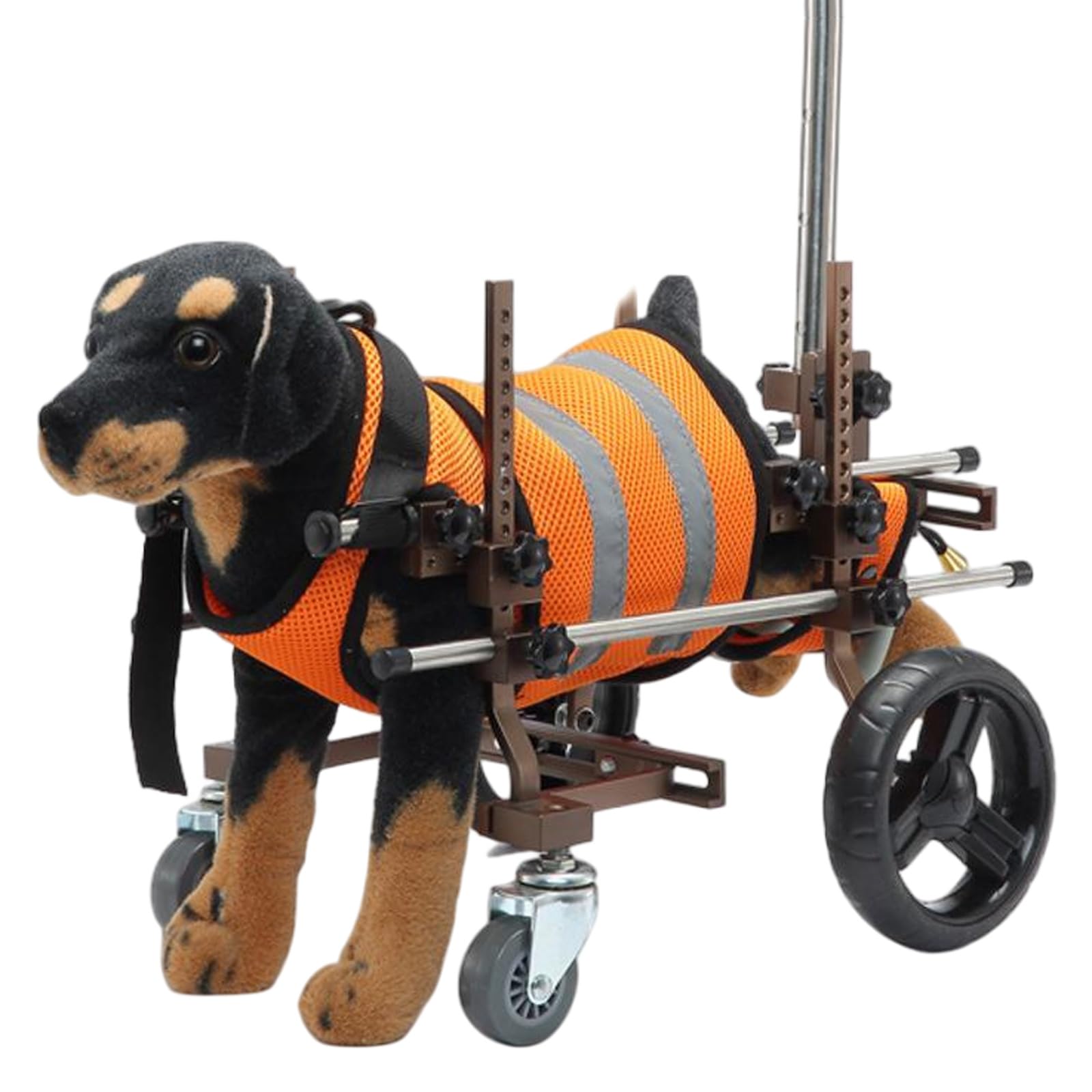 Silla de ruedas para mascotas: ayuda a tu perro pequeño a pasear de nuevo con un diseño naranja
