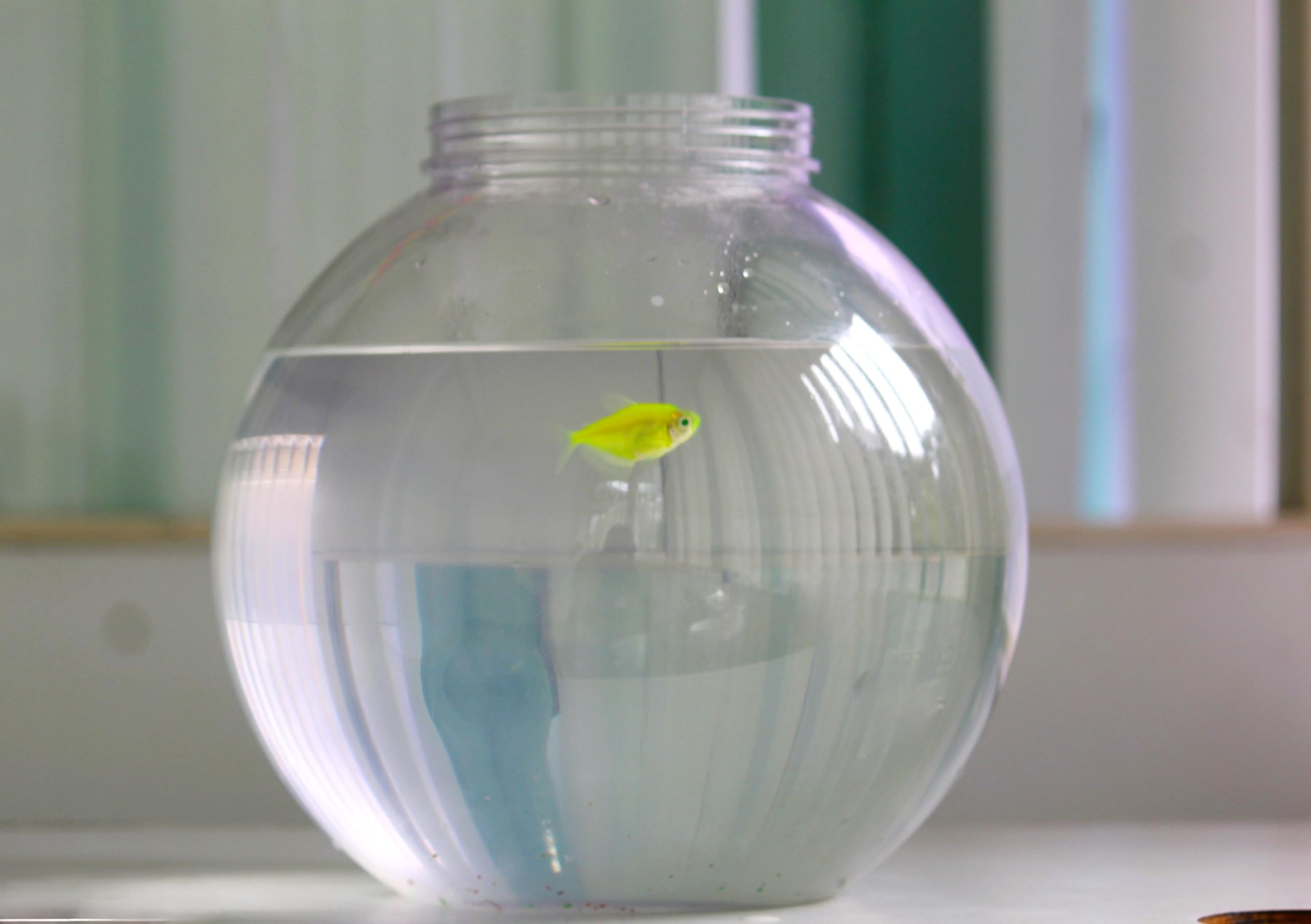 Aquarium Bowl for Fish | Home | Office |Easy to Handle | Long Lasting | Unbreakable |Rust Resistant | Plastic | not Glass | Fish Bowl (4 LTR) (B0DBLZMYDY) Amazon Price History, Amazon Price Tracker