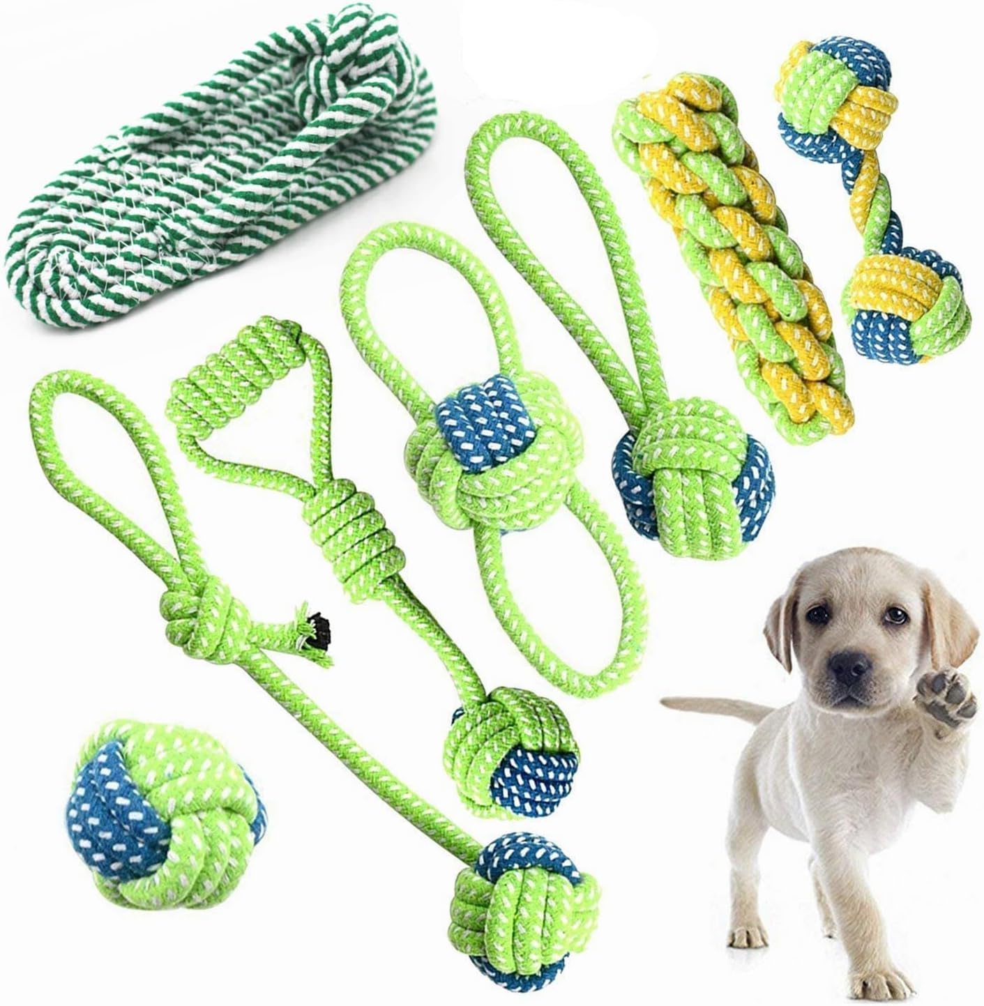 Petony Outdoor Dog Playpen