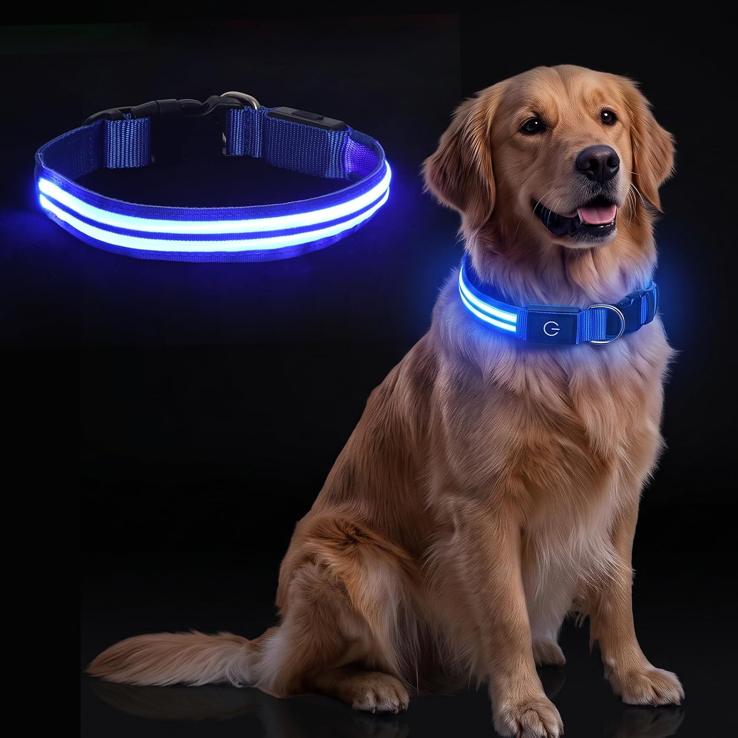 Neon LED Light Up Dog Collar for Night Walking, Rechargeable Safety Glow Illuminated Collar with 3 Modes Flashing, Reflective Adjustable Pet Light for Medium/Large Dogs Puppy 15-19" Neck (Blue)