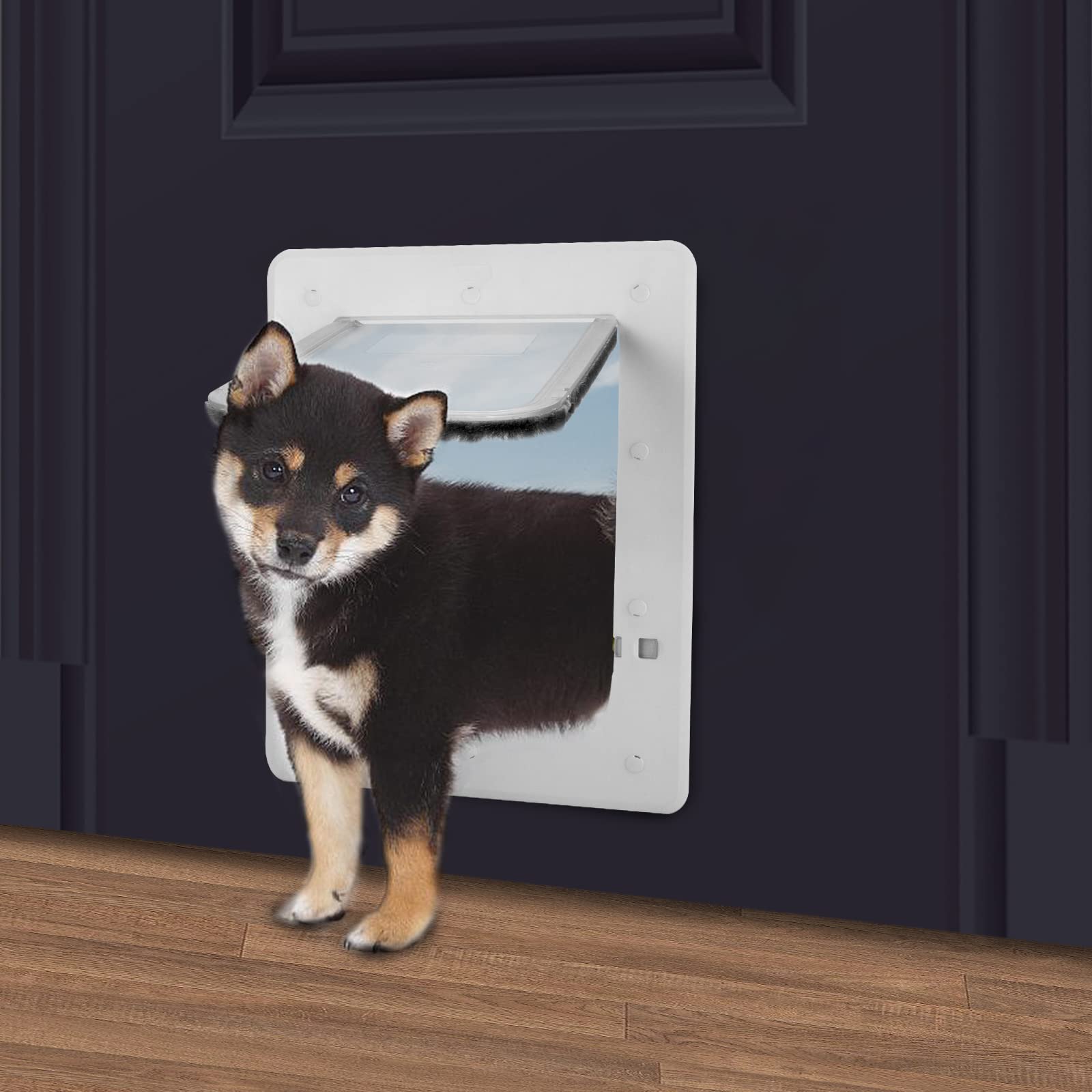Can A Cat Use A Dog Door