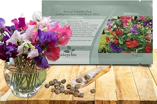 Outsidepride Fragrant Annual Lathyrus Odoratus Sweet Peas Royal Mix Climbing Treing, Vining, Trailing Cut Flowers - 250 semillas