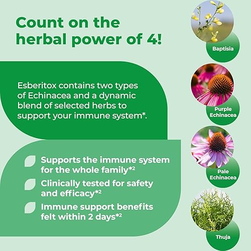 Miniatura 4 de Echinacea supercargada  100 tabletas  Suplemento de hierbas de apoyo inmunológico con raíz de índigo silvestre y equinácea púrpura  Clínicamente