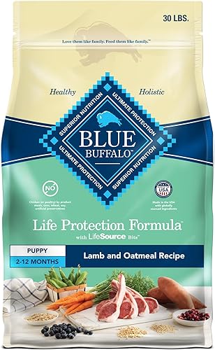 Blue Buffalo Life Protection Formula - Alimento seco natural para cachorros sabor cordero y avena 30libras