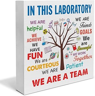 Science Classroom Decor We Are a Team Wooden Box Sign Biology Science Lab Laboratory Decoration Lab Tech Gifts