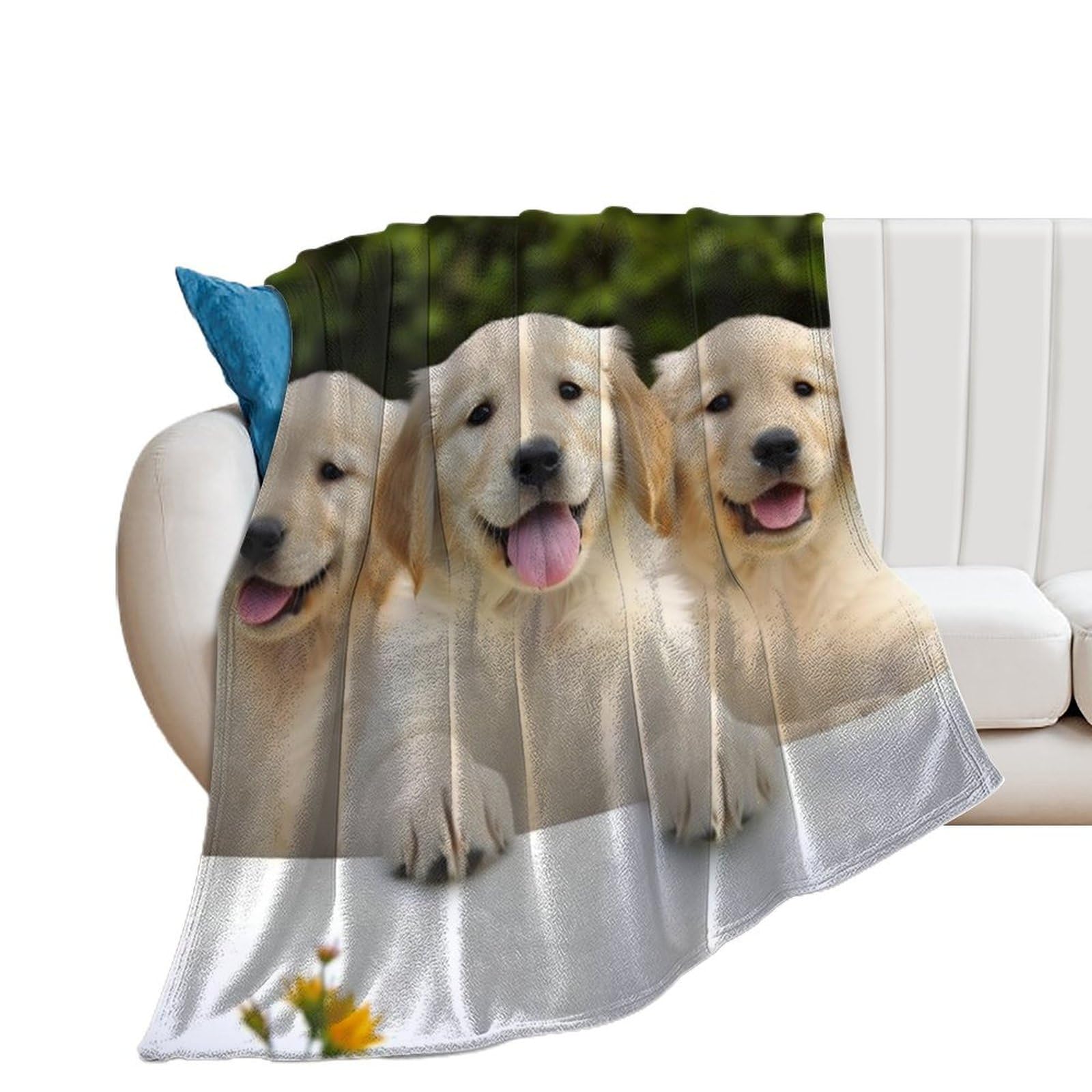 Couverture flanelle Golden Retriever plaid doux 150x200cm anti-froid canapé
