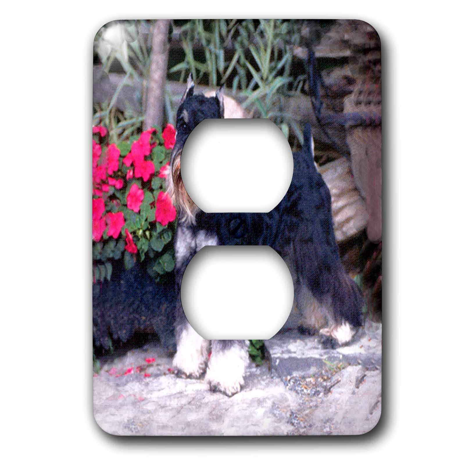 Schnauzer 2 prises 3dRose lsp_265_6 plaque de interrupteur double