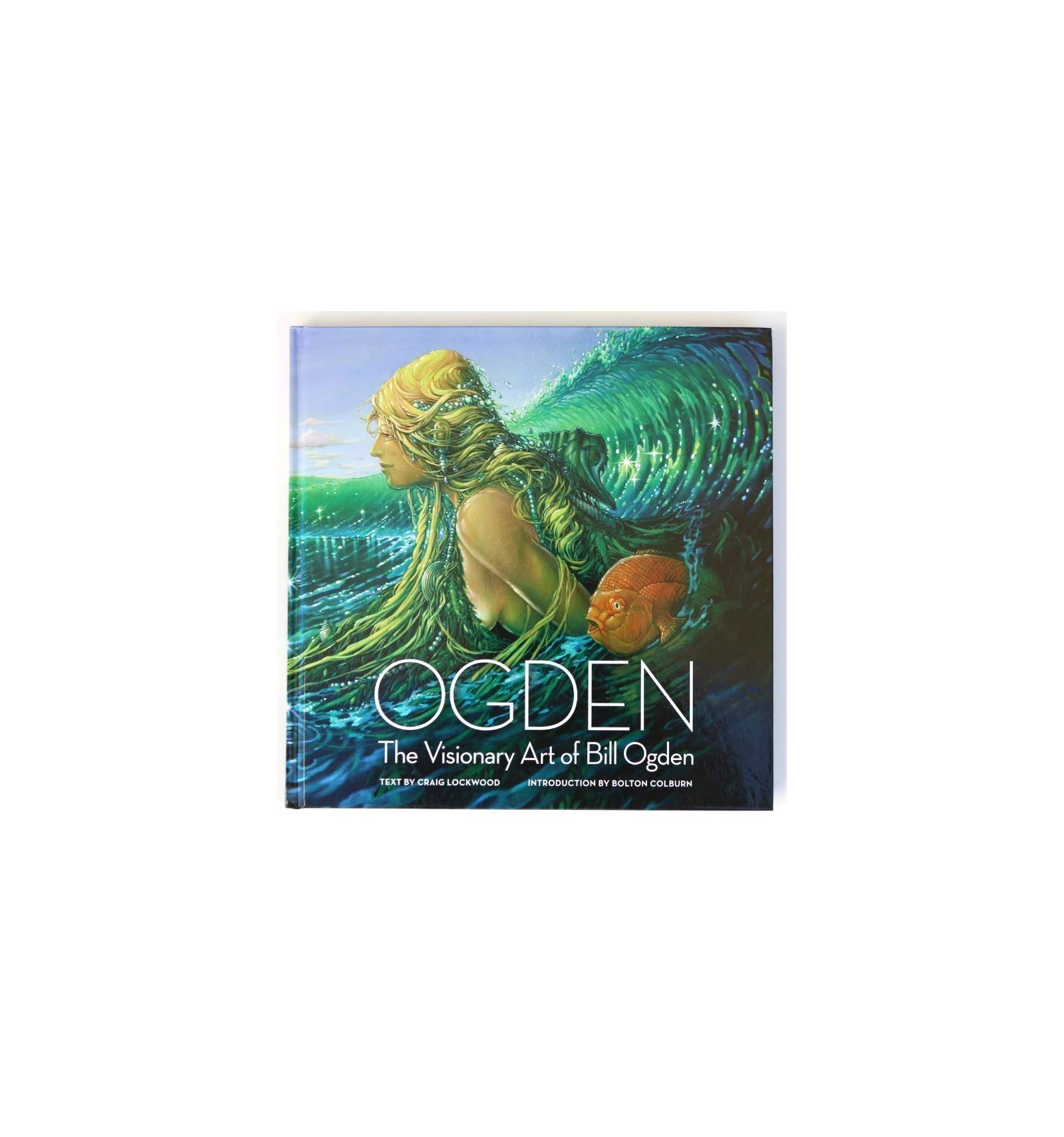 Surf System Unisex Adult Books, Multi-Colour, One Size