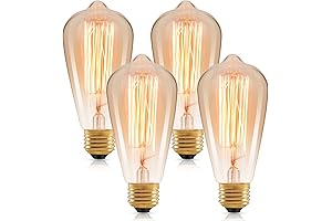 Inc incandescent ST64 Warm Light with E26 Screw Base, Amber, 2200K Edison Bulb