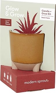 Modern Sprout Glow and Grow Kit - 2 in 1 Scented Candle That Grows into a Aloe Plant - 12 oz Soy Candle with 78 hr Burn time in Glaze Ceramic Vessel - Candle Planter Ideal for Home Decor Aesthetic