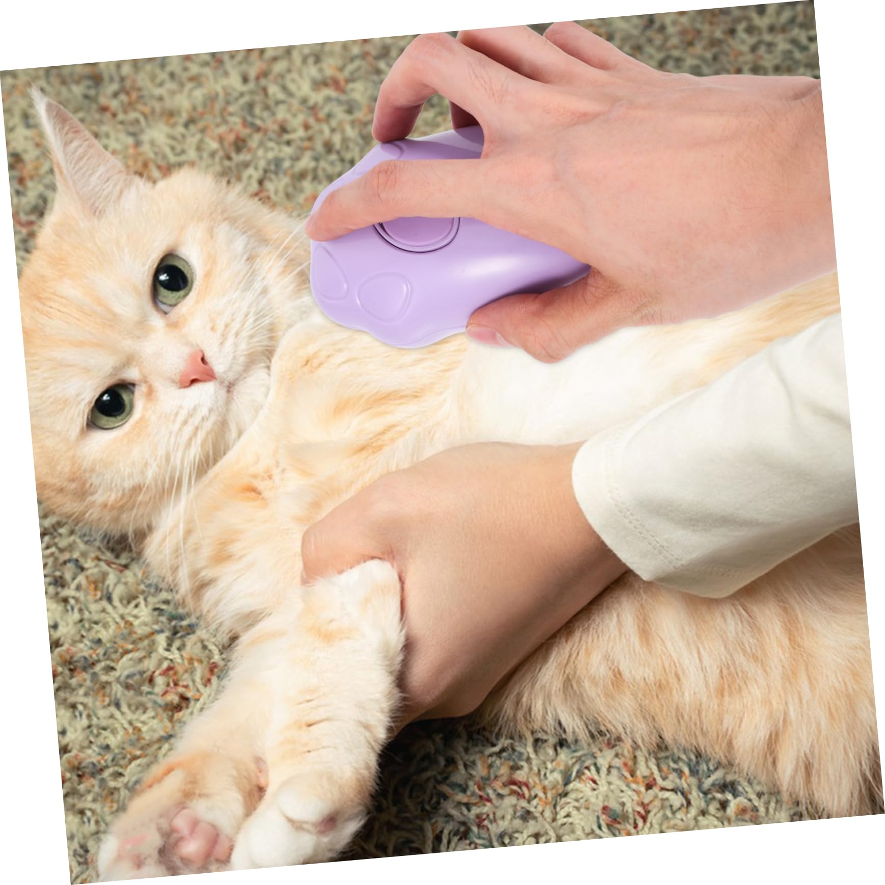 Toddmomy 5pièces Brosse à Vapeur Pour Chat Brosse Électrique De Toilettage Auto-nettoyante Pour Animaux De Compagnie Pour Massage Et Élimination Poils Couleur Violette