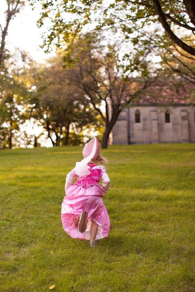 Little Adventures Sleeping Beauty Princess Dress Up Costume