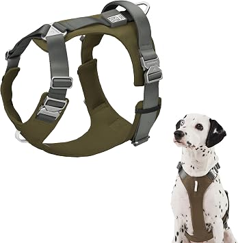Dog Harness Heavy Duty No Pull Dog Harness with Handle, QR Code Anti-Loss Alloy Buckle Adjustable Nylon Dog Vest Control Harness for Medium Large Dogs Walking Training Space Gray, L