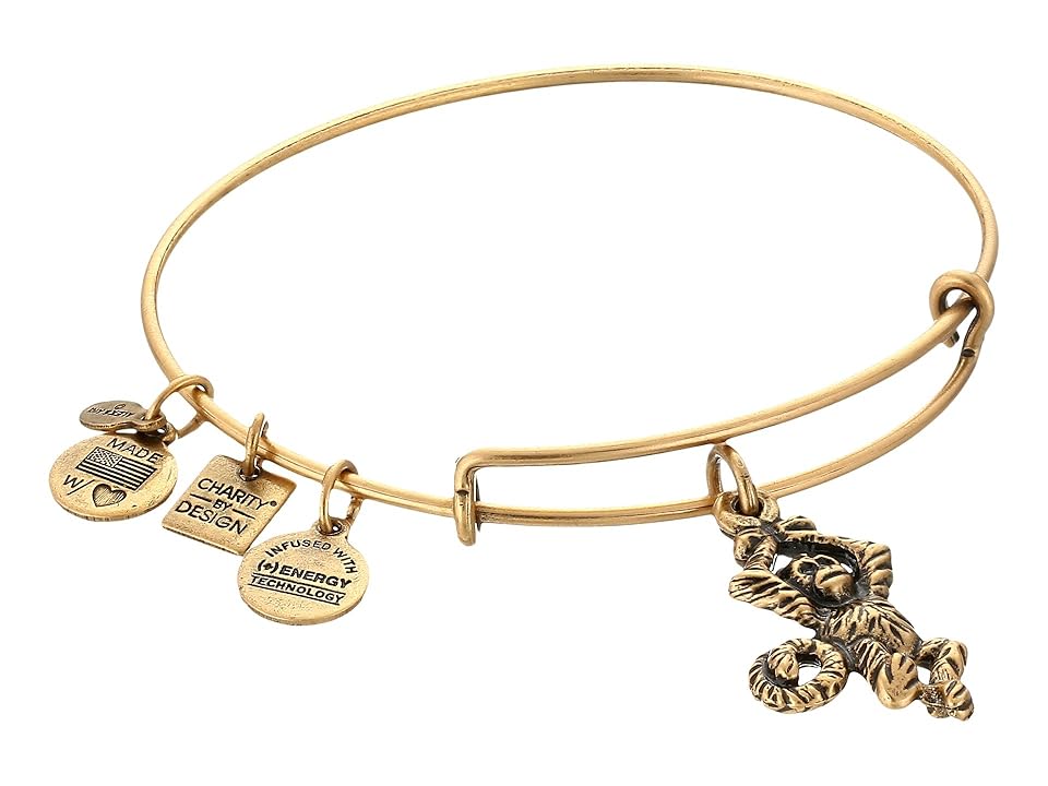 

Alex and Ani Monkey Charm Bangle (Rafaelian Gold Finish) Bracelet