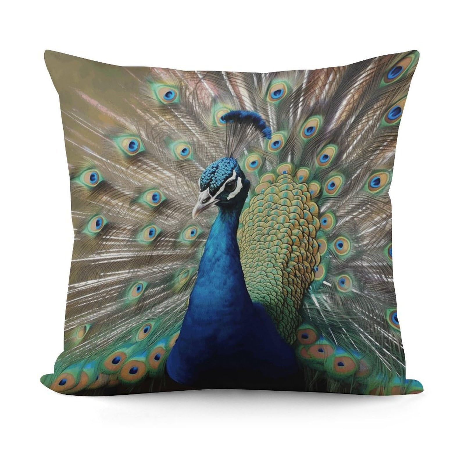 VstaDank The Peacock Throw Pillow Cover Soft Square Cushion Cover Art Artwork Pillow Covers Mordern Couch Pillow Covers Decorative Cushion Case for Chair Couch Bedroom Living Room