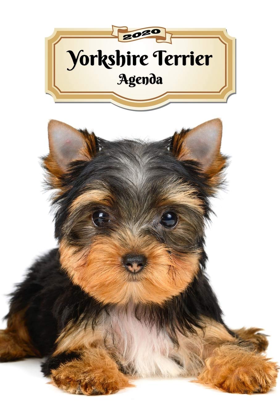 2020 Yorkshire Terrier Agenda: 107 Pagine | Dimensioni DIN A5 | Pianificatore Settimanale | 12 Mesi | Due Pagine Per Settimana | Calendario | Diario | Cane