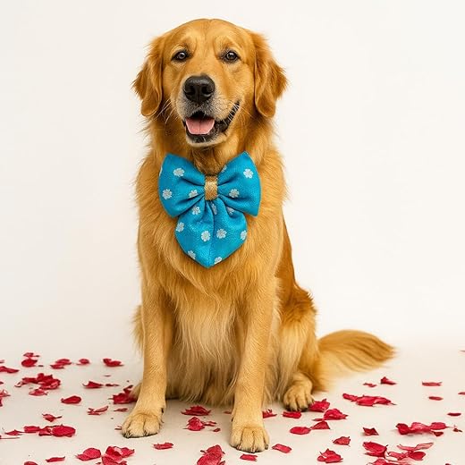 That Dog In Tuxedo Bow Tie - Sky Blue, XL