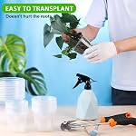 36 Emballage des pots de pépinières transparents 5/6/7inch Pots de plantes plastiques transparents avec trous de drainage, voir par planteur de semis pour planificateur de semences de démarrage