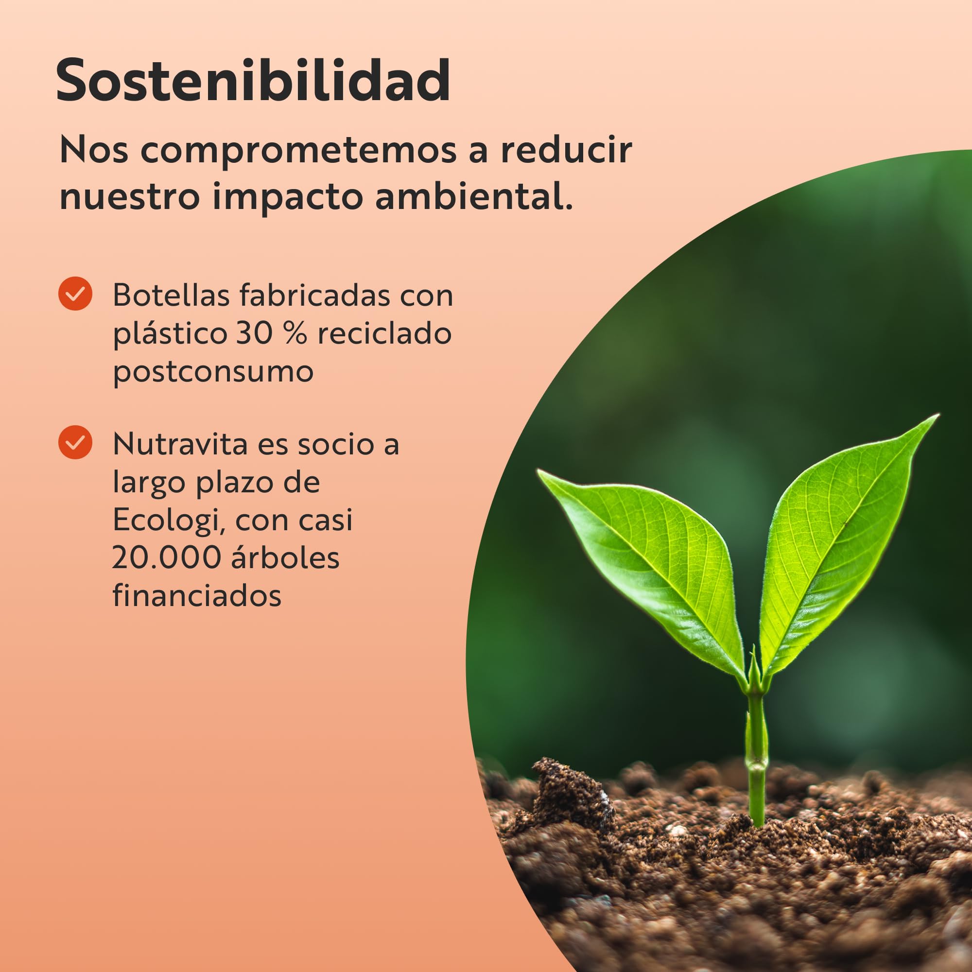 Nutravita Ashwagandha Orgánica 500mg - KSM-66® Sin Excipiente. 100% Natural Cápsula Vegana de Ashwagandha - Suplemento adaptógeno Ayurveda Ginseng Indio (Withania Somnifera) Antiflamatorio natural