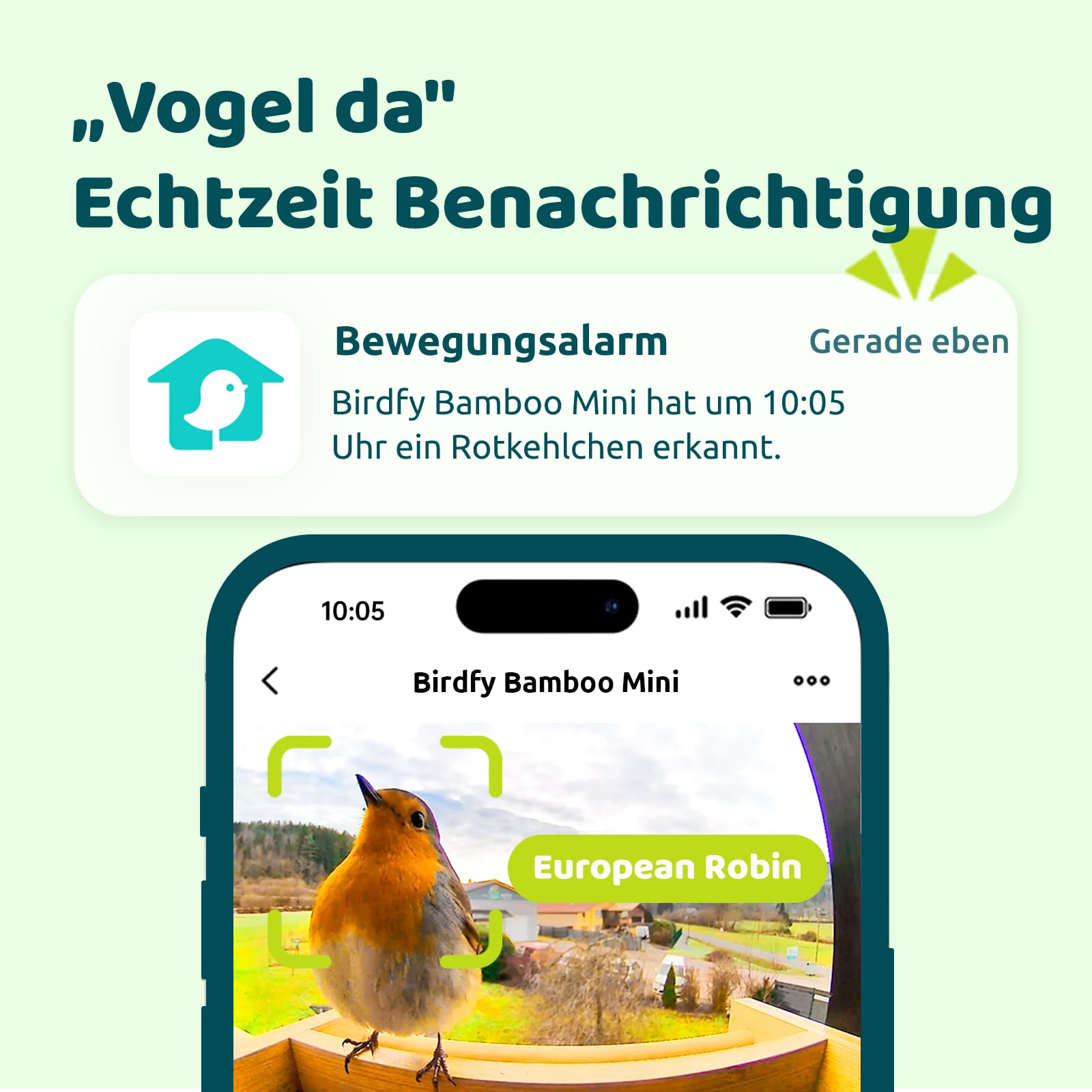 NETVUE by Birdfy Comedero Pajaros Exterior, Comederos para Pajaros con Camara, Bambú Ecológico/Renovable, Observación de Aves en Tiempo Real para App, Captura Automática, Notificación Instantánea