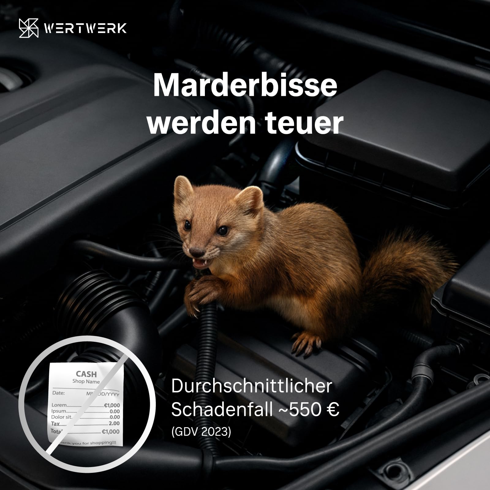 Marderschreck Auto Batteriebetrieben - Marderschreck Ultraschall & Lichtblitz, Marderabwehr Auto Motorraum, Dachboden, Garage & Haus, flexibel nutzbar mit Netzteil oder AA-Batterien