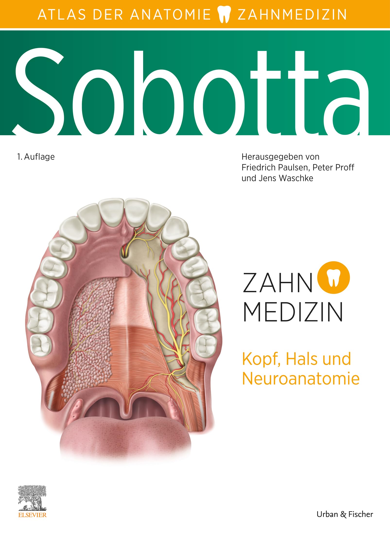 Sobotta Atlas der Anatomie für Zahnmedizin (VORKLINIK - Lehrbuch - Urban & Fischer-Verlag)