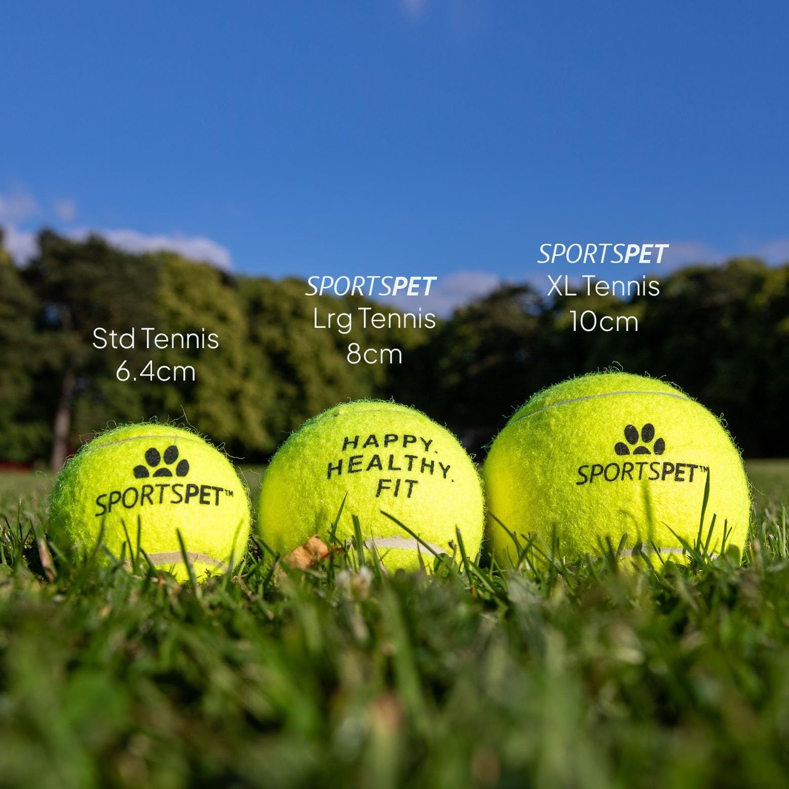 SPORTSPET XL Tennis Balls for Dogs - Extra Bouncy - Non Toxic - Durable - Long Lasting - Floats (Tennis Balls XL 2 Pack (4inch) - Image 2