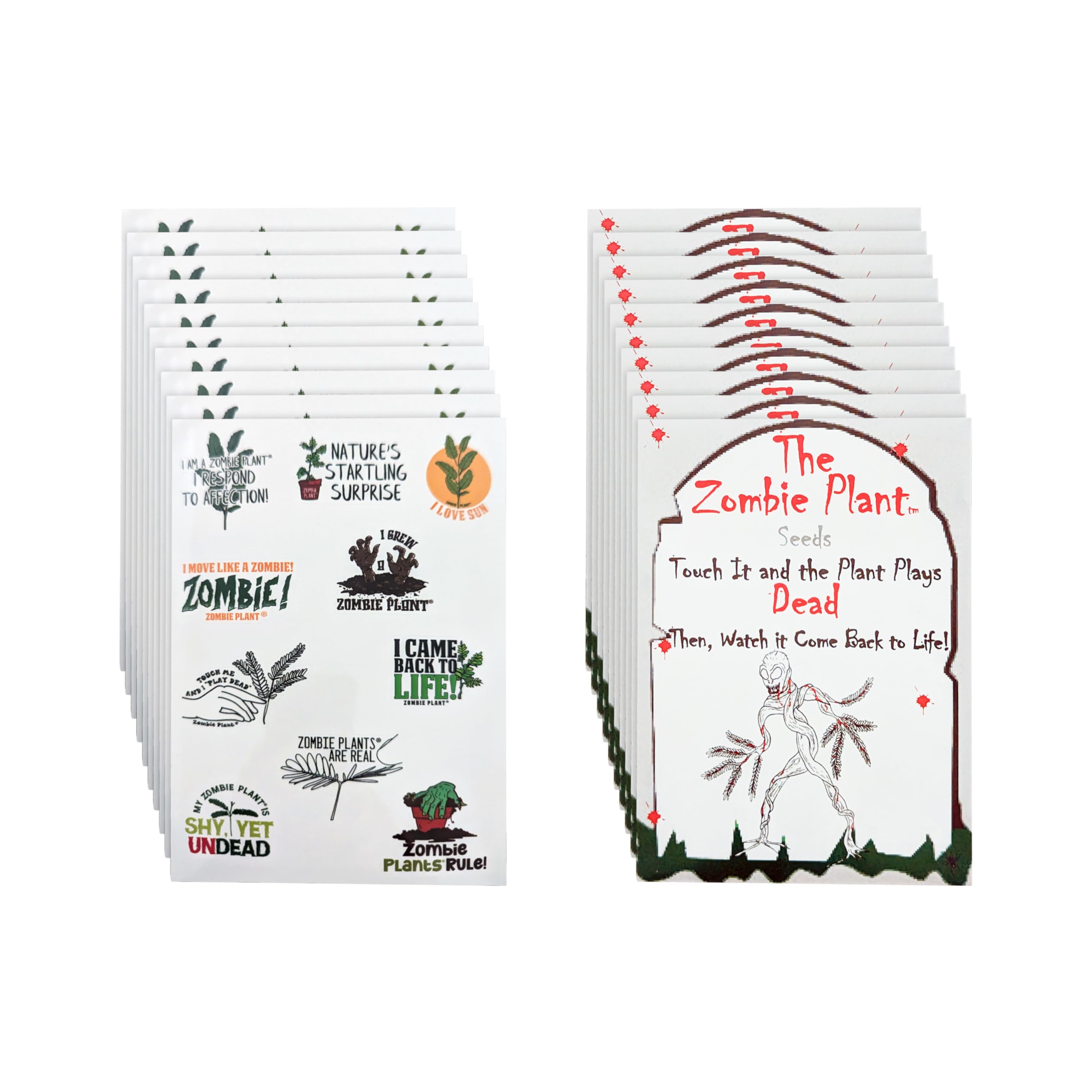 Plante zombie à faire pousser en famille kit de graines créatif pour l'anniversaire