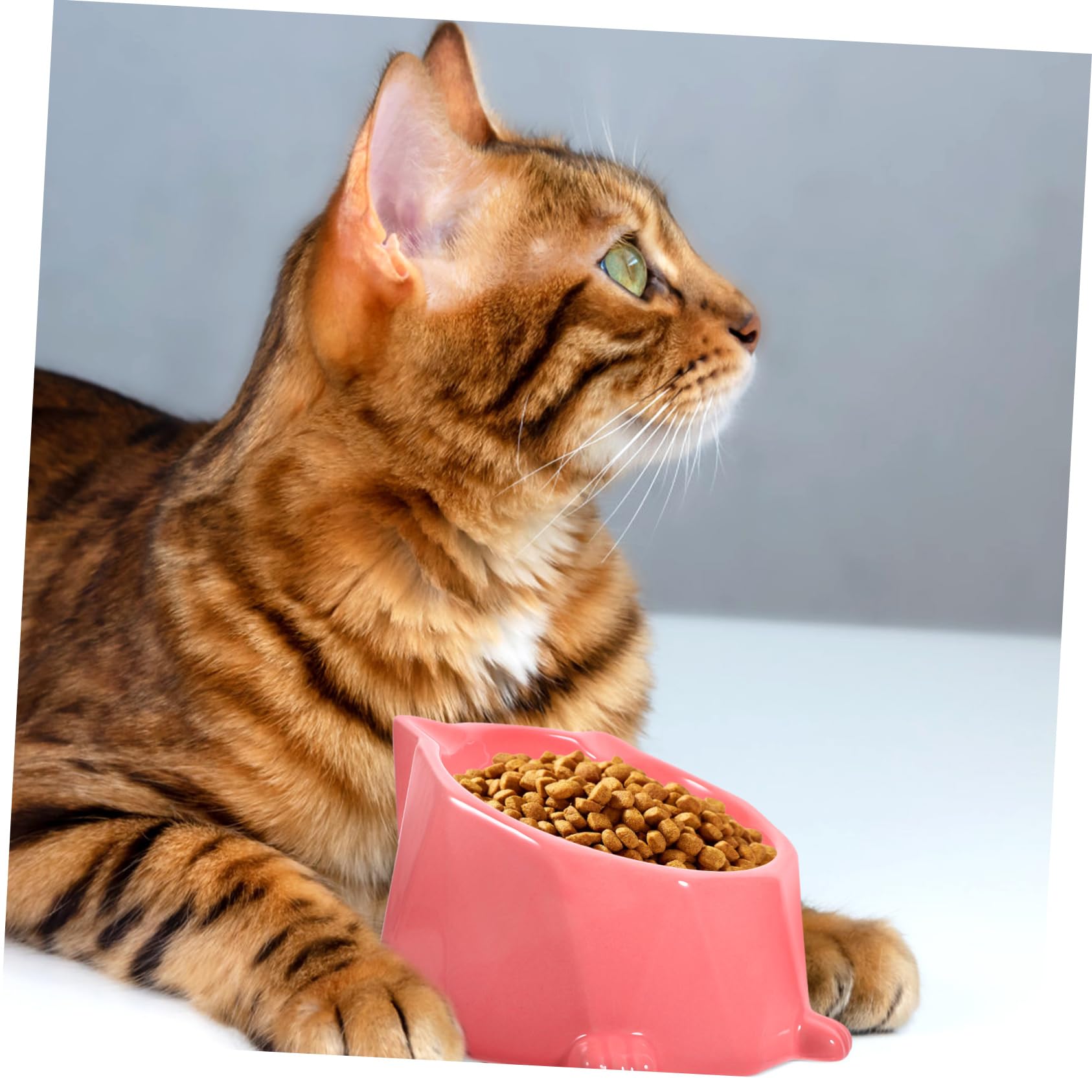 UKCOCO Cuenco Hexagonal para Mascotas Comedero De Cerámica para Perros y Gatos Plato De Cerámica para Diario Casa o Viaje