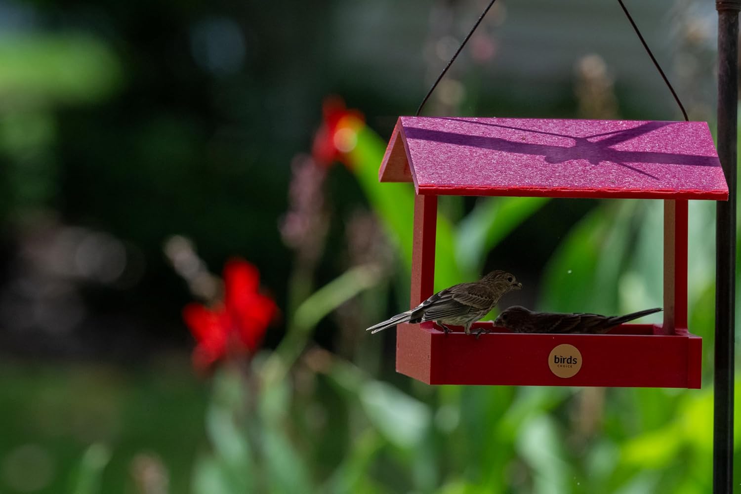 Fly-Thru Feeder