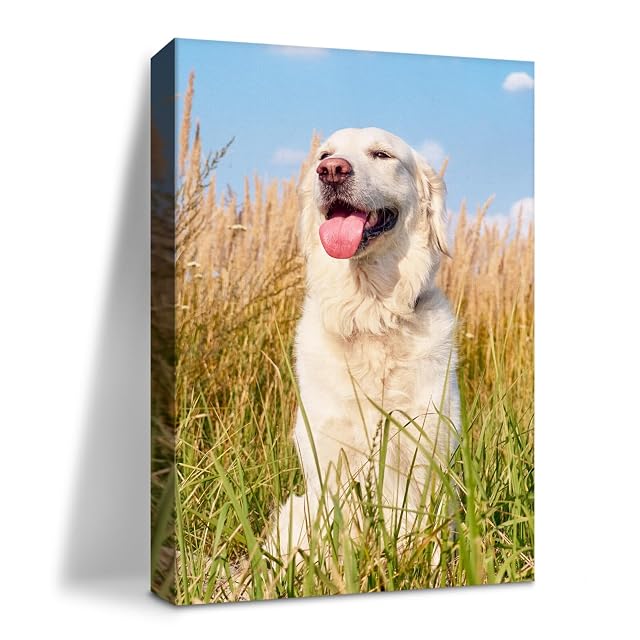 LADYPAW Ship Next Day Custom Canvas Prints with Your Photos Framed 20x30 Personalized Photo Canvas Print Wall Art