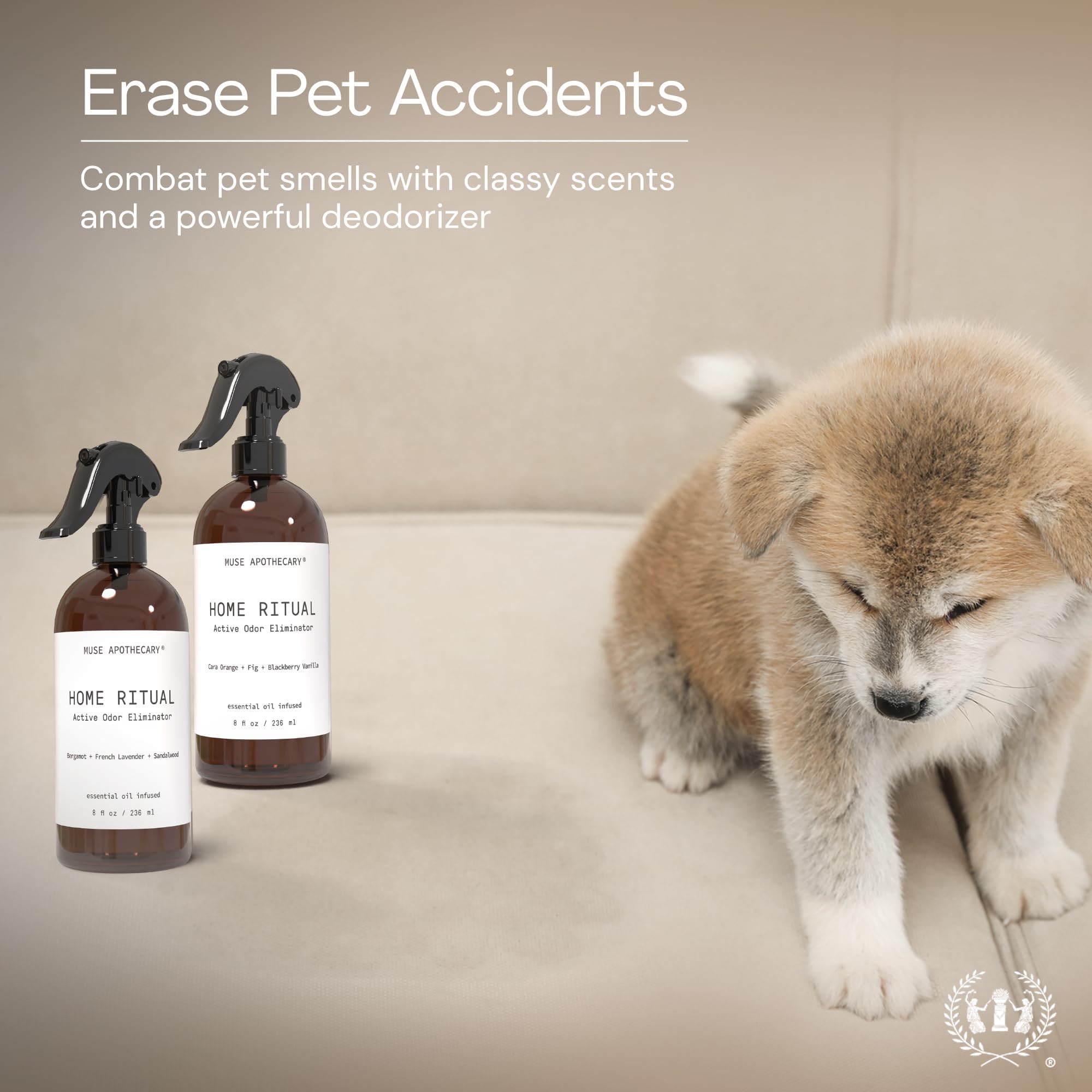 Muse Apothecary Home Ritual Active Odor Eliminator Spray - Furniture Deodorizer Spray & Bathroom Odor Eliminator for Home - Essential Oil Air Freshener - 8oz, Cara Orange + Fig + Blackberry Vanilla view 5