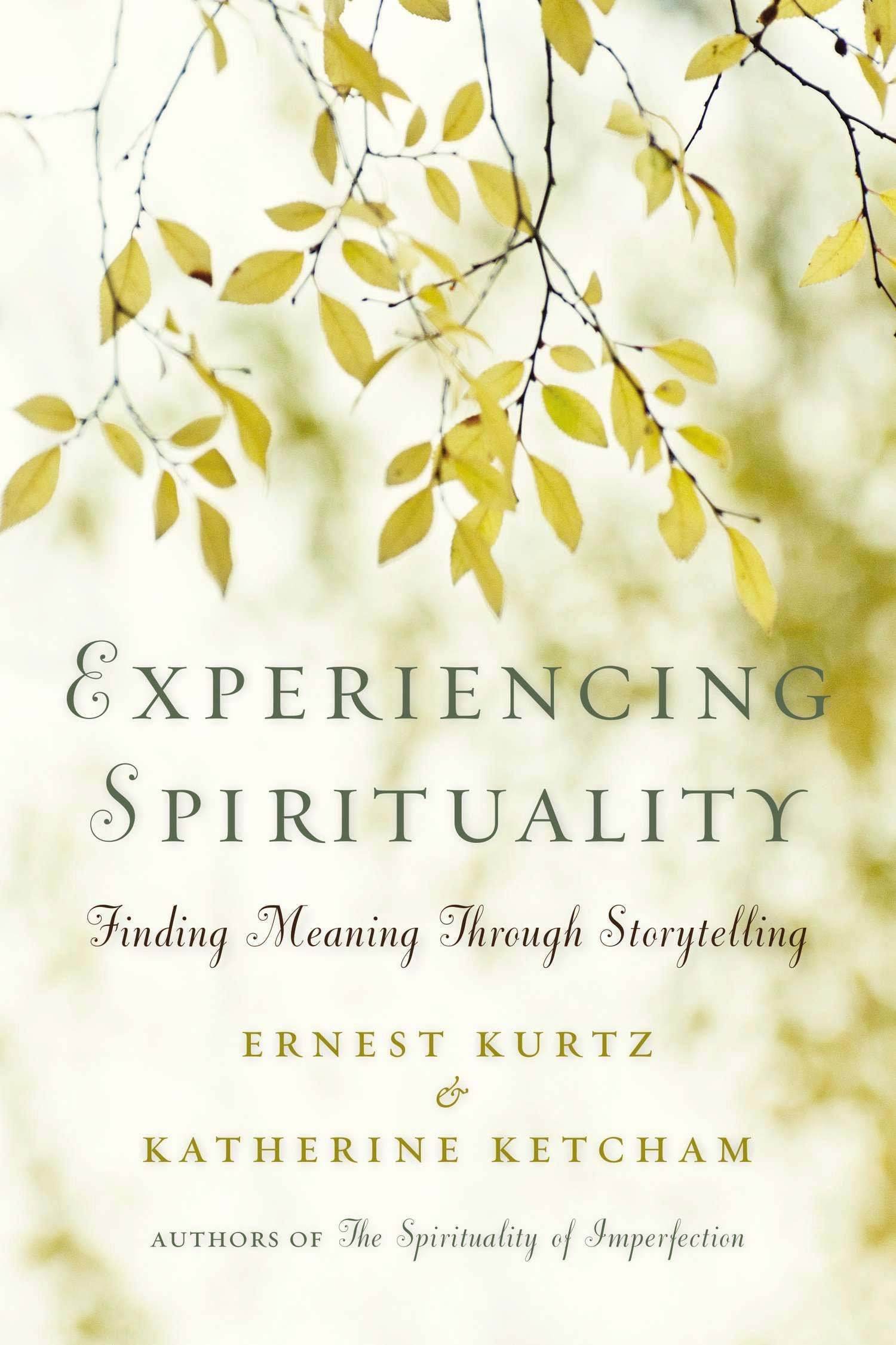 Buy Experiencing Spirituality: Finding Meaning Through Storytelling — BookShops.in