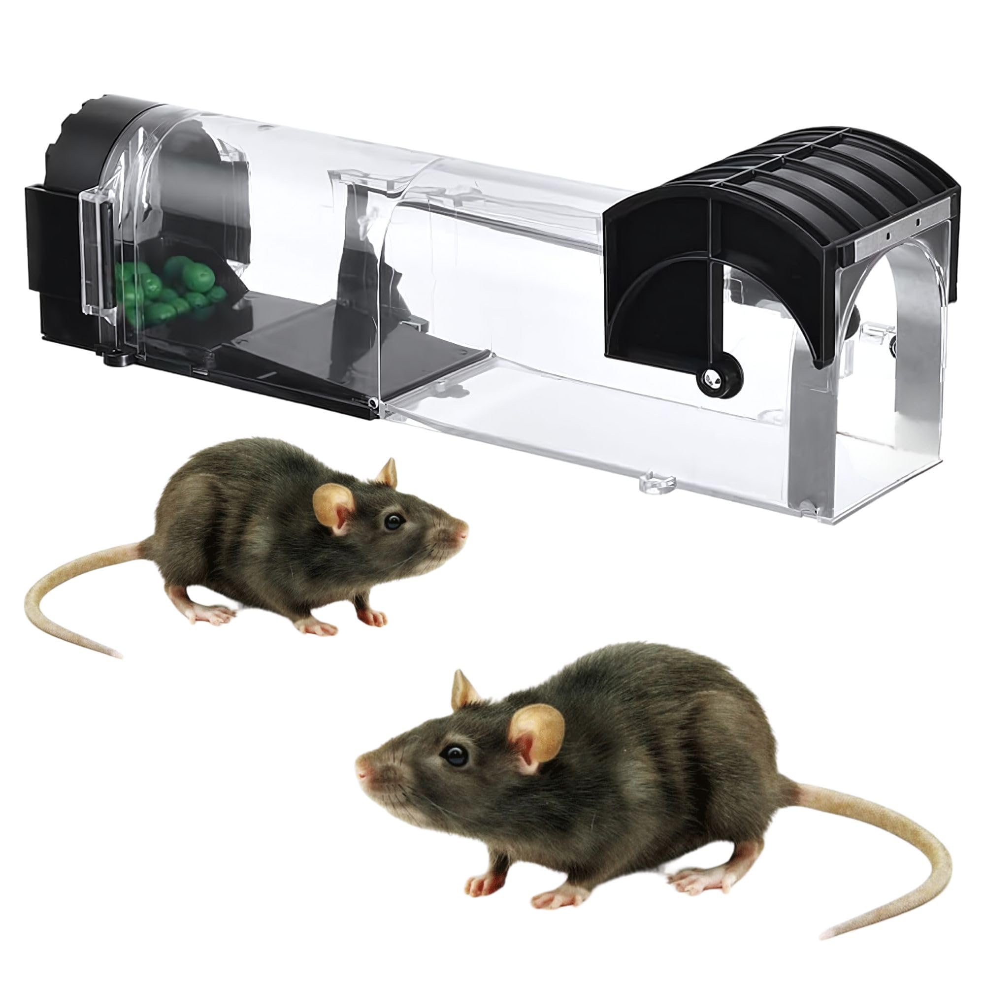 Hian Humane Plastic Rat Trap Cage – 32 cm Long, Small Mouse Catcher Box, Reusable Catch & Release Rodent Trap for Mice and Small Rats – Safe Pest Control for Home, Kitchen, Garden & Warehouse