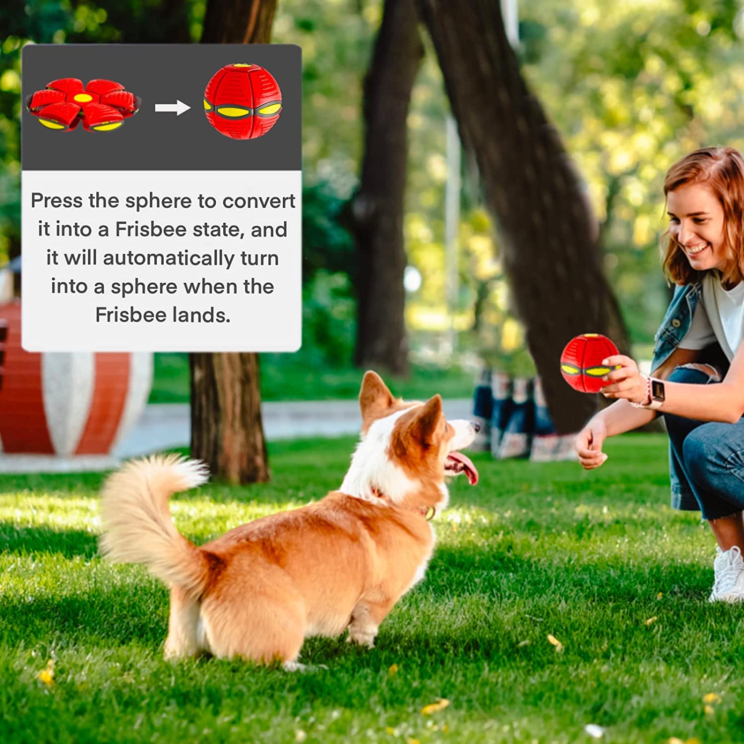 Frisbee