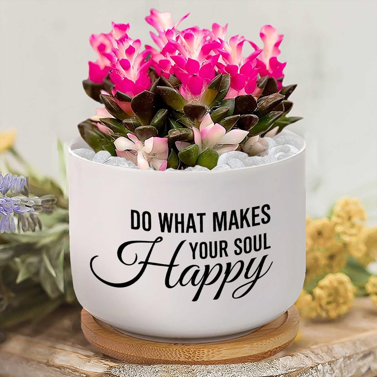 Amazon.com: DecStic Do What Makes Your Soul Happy Ceramic Planter Lettering  Saying Flower Pots for Indoor Plants with Drainage Holes and Saucers Pot  for Succulents Cactus Garden Windowsill : Patio, Lawn &